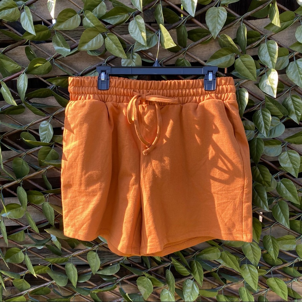 Fashion Shorts NWOT - Picture 2 of 2